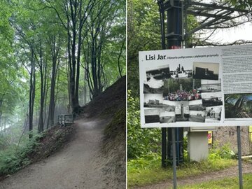 Wąw&oacute;z Lisi Jar