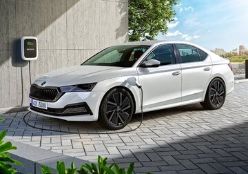 Nowa Skoda Octavia