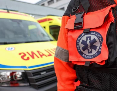 Miniatura: Dwulatek wciągnięty przez maszynę...