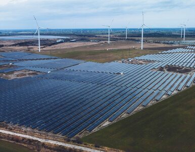 Miniatura: Enea inwestuje w zieloną energię