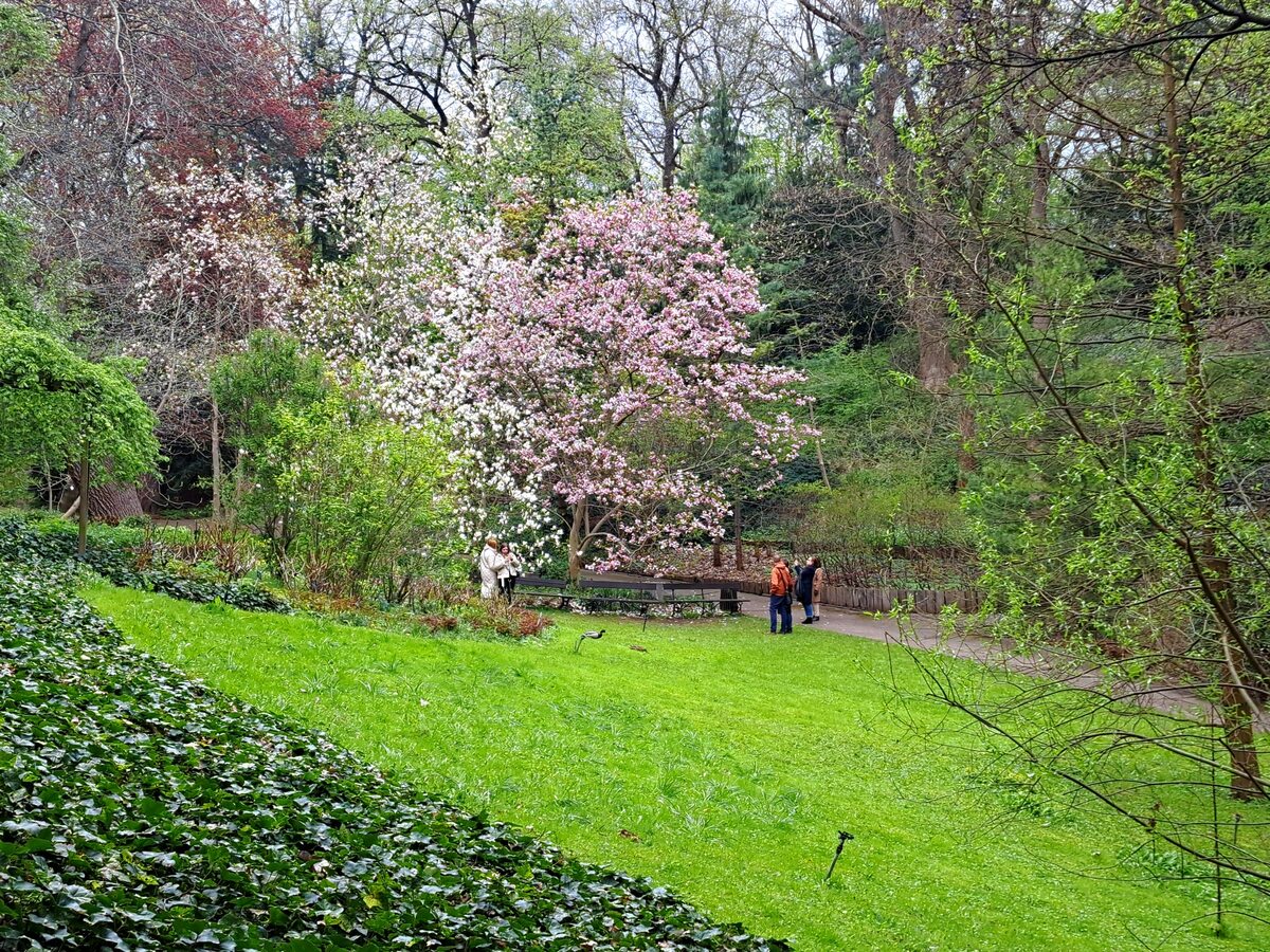 Ogród Botaniczny Uniwersytetu Warszawskiego w Warszawie 