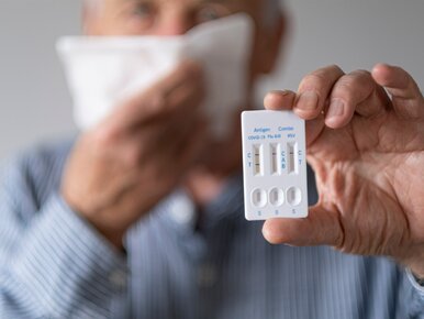 Miniatura: Nie Ebola, nie Nipah. Eksperci: W Polsce...