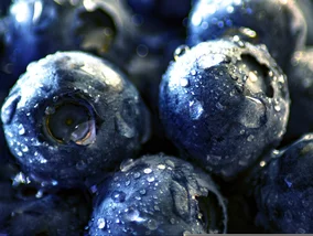 Miniatura: To nie tylko to, co jesz. Naukowcy...