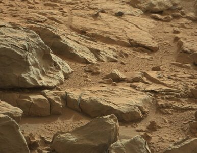 Miniatura: Tajemnicze odkrycie na Marsie. Co błyszczy?