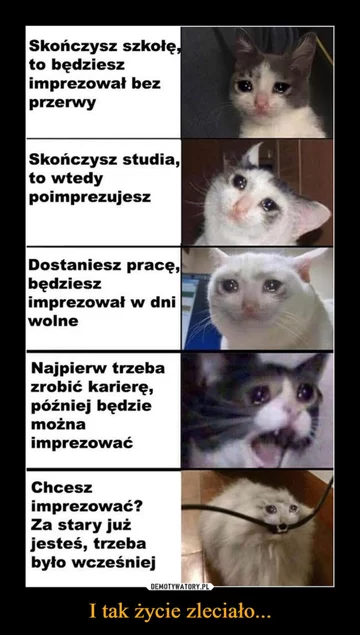 Praca, praca i jeszcze raz praca. Internauci tworzą MEMY 