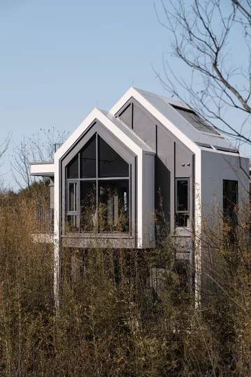 Wnętrza w kolorach ziemi, projekt Zoom Design Azja, Zoom Design, natura