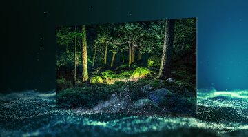 Samsung OLED TV