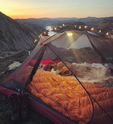 Przezroczysty namiot wpisujący się w trend „transparent camping” 