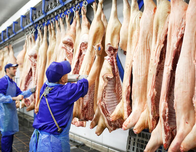 Rosja paraliżuje USA. Atak na największego przetwórcę mięsa na świecie