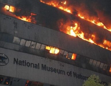 Miniatura: Pożar w Muzeum Historii Naturalnej. „Strat...