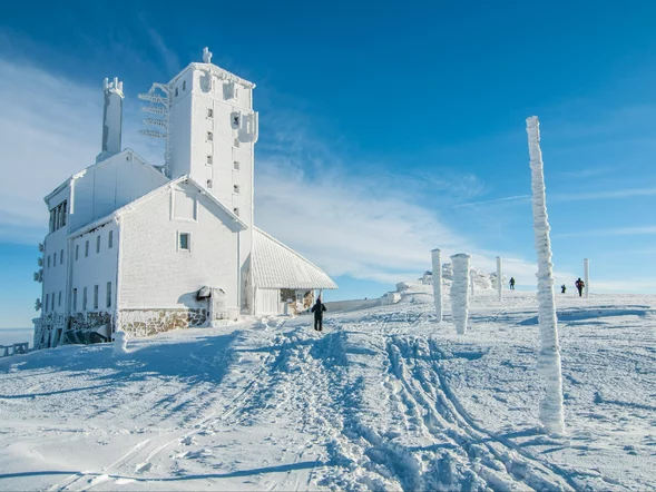 Miniatura: Tanie bilety PKP Intercity. Promocja na...