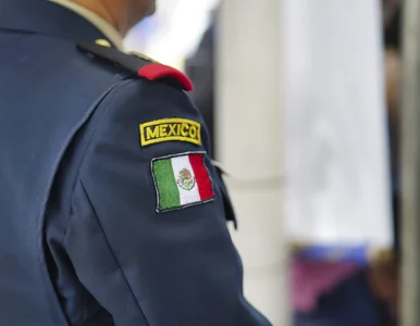 Miniatura: Przetrwali dwa miesiące w zniszczonej...