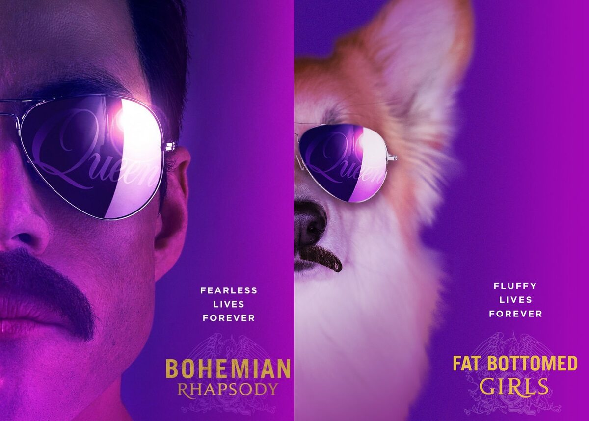 Plakat "Bohemian Rhapsody" i plakat "Fat Bottomed Girls" 