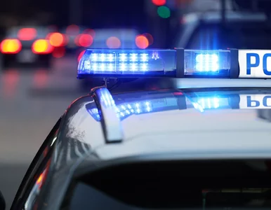 Miniatura: Nietypowy obiekt znaleziony w lesie w...