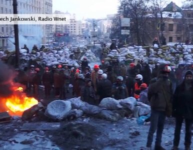 Miniatura: Zgliszcza barykady na kijowskim Euromajdanie