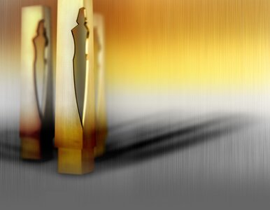 Miniatura: Iga Świątek Człowiekiem Roku „Wprost”...