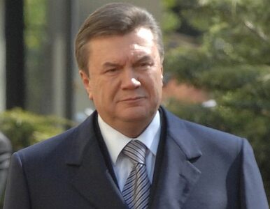Miniatura: Janukowycz podpisał. Rosyjska flota...