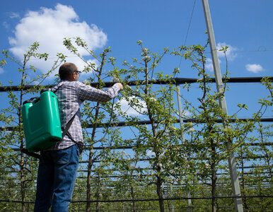 Miniatura: Olej parafinowy i Miedzian razem? Sprawdź,...
