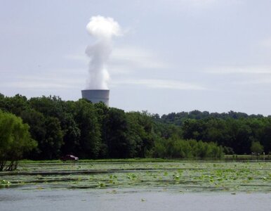 Miniatura: Polska chce opóźnić aukcje CO2 - UE się...