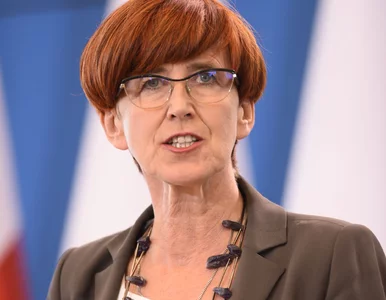 Miniatura: Elżbieta Rafalska odpowiada na krytykę:...