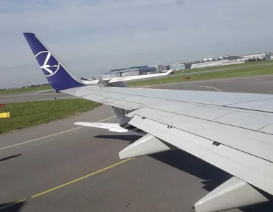 Miniatura: „Wakacji nie będzie”? PAŻP dystansuje się...