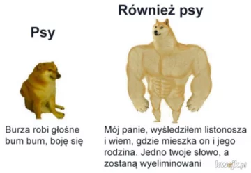 Mem z napakowanym i płaczącym pieskiem 