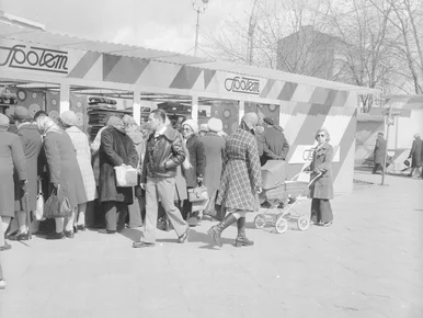 Miniatura: Konia z rzędem temu, kto rozwiąże ten QUIZ...