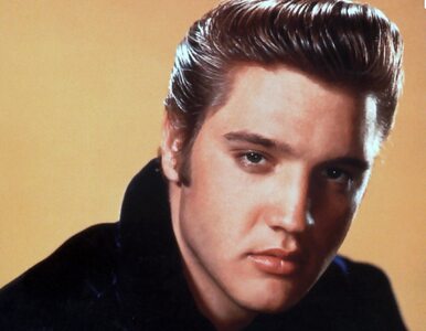 Miniatura: Krawiec Elvisa nie żyje