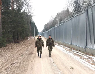 Miniatura: Kilkunastu cudzoziemców sforsowało rzekę...