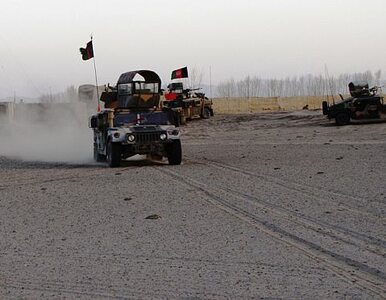 Miniatura: Umundurowani Afgańczycy zabijają żołnierzy...