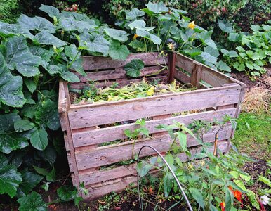 Miniatura: Pełnowartościowy kompost gotowy w miesiąc?...