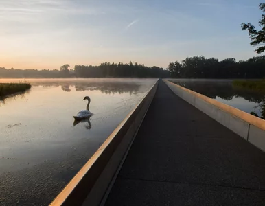 Miniatura: Trasa biegnie przez środek jeziora. Ta...