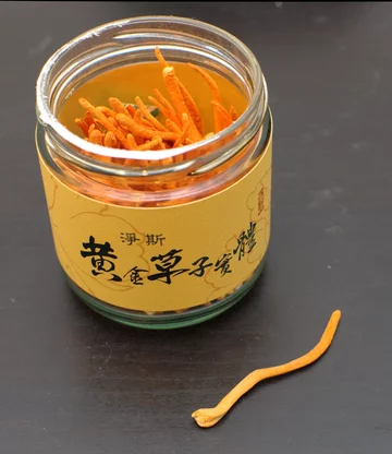 Maczużnik bojowy (Cordyceps militaris) 