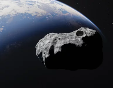 Miniatura: Gigantyczna planetoida zbliża się do...
