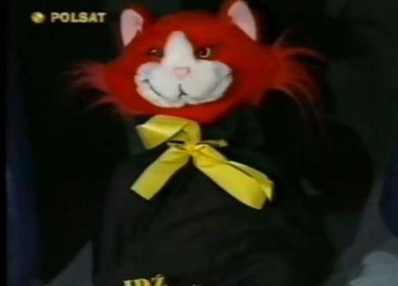 Kot (na zdjęciu) z tego programu nazywał się Zonk.