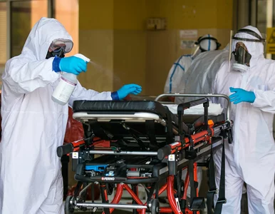 Miniatura: Koronawirus w Polsce. Rekordowa liczba...