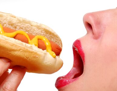 Każdy hot dog skraca życie o... 36 minut! Zaskakujące wyniki badań
