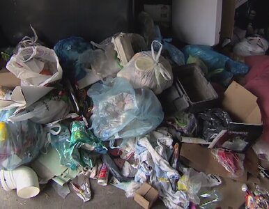 Miniatura: Poznań tonie w śmieciach