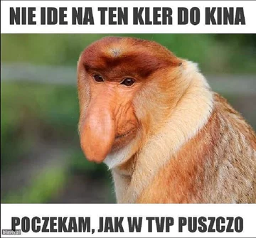 Memy związne z premierą filmu „Kler” 