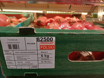 Pomidor Rosamunda