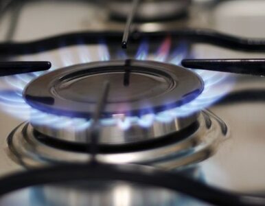Miniatura: Ceny gazu dla rodzin pozostaną na uwięzi