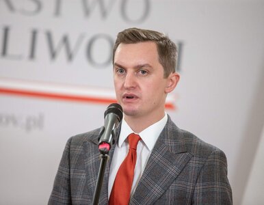 Miniatura: Wiceminister sprawiedliwości dla „Wprost”:...