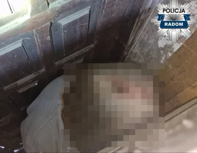 Miniatura: Przez 16 lat ukrywał się przed policją....