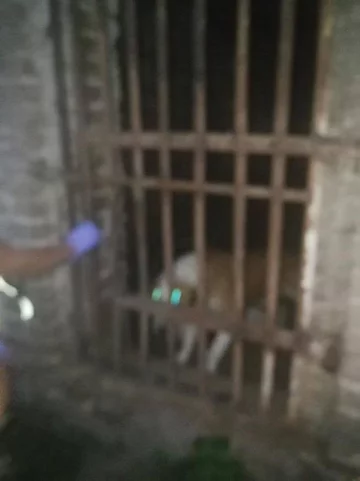 Miejsce przetrzymywania psa 