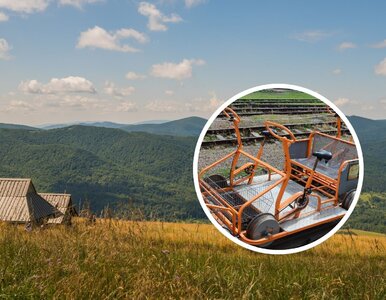 Miniatura: Taką atrakcję można znaleźć w...