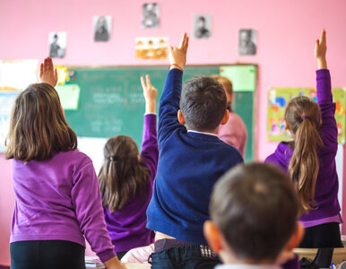 Miniatura: Polskie szkoły bez szkolenia...