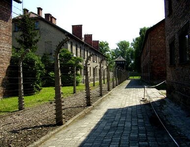 Miniatura: Auschwitz okradł izraelski pułkownik