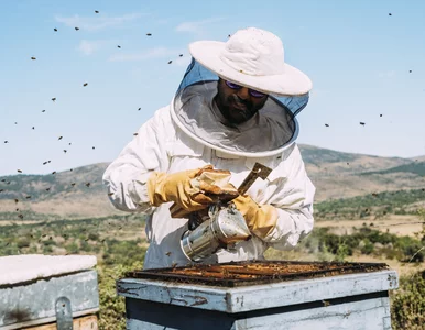 Miniatura: Quiz z nazwami zawodów. Łatwe? Spróbuj nie...