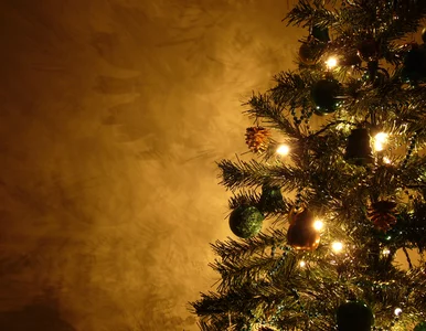 Miniatura: Nasze święta