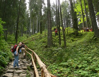 Miniatura: Na tę atrakcje turyści czekali kilka...